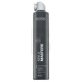 Revlon Professional Style Masters Must-Haves Photo Finisher 500 ml
