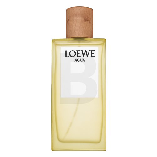 Loewe Agua de Loewe EDT U 100 ml
