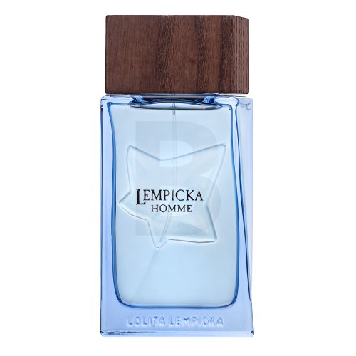 Lolita Lempicka Homme EDT M 100 ml