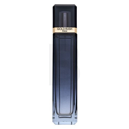 Paris Hilton Gold Rush Man EDT M 100 ml