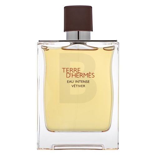Hermes Terre D'Hermes Eau Intense Vetiver EDP M 200 ml