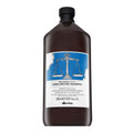 Davines Natural Tech Rebalancing Shampoo 1000 ml