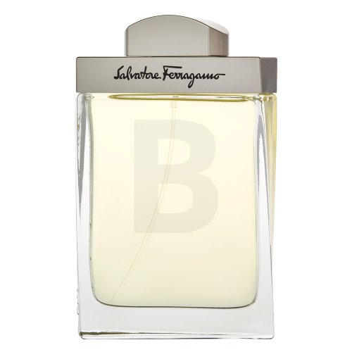 Salvatore Ferragamo Pour Homme EDT M 100 ml