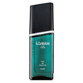 Lomani Lomani Pour Homme EDT M 100 ml