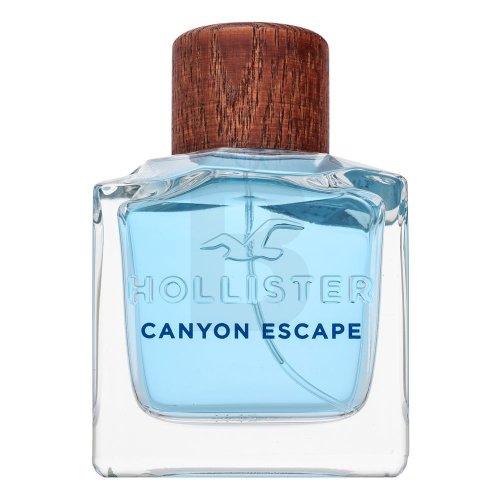 Hollister Canyon Escape EDT M 100 ml