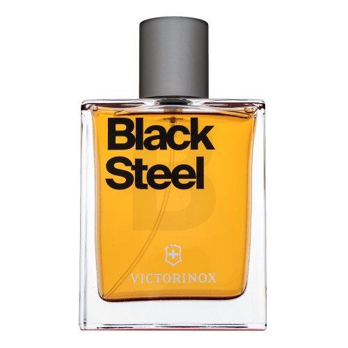 Swiss Army Black Steel EDT M 100 ml