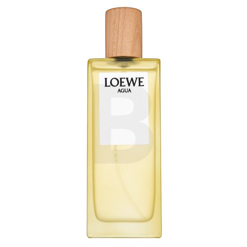 Loewe Agua de Loewe EDT U 50 ml