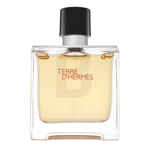 Hermès Terre D'Hermes PAR M 75 ml