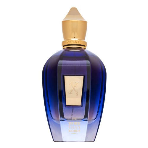 Xerjoff More Than Words EDP U 100 ml