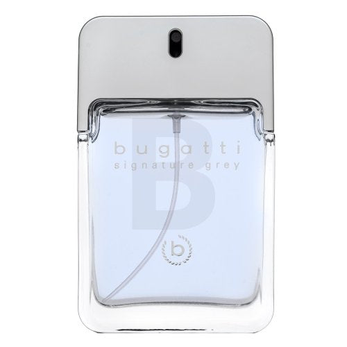 Bugatti Signature Grey EDT M 100 ml