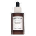 Skin1004 Madagascar Centella Probio-Cica Intensive Ampoule 50 ml