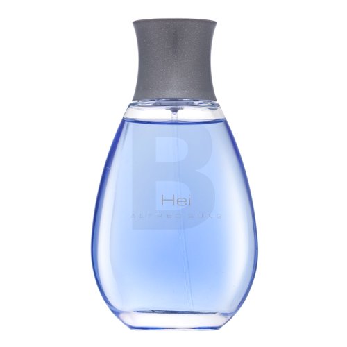 Alfred Sung Hei EDT M 100 ml