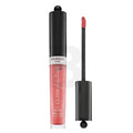 Bourjois Fabuleux Gloss Lip Gloss 10 3,5 ml