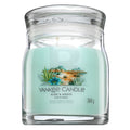 Yankee Candle Aloe &amp; Agave 368 g