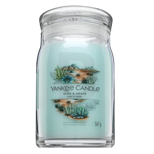 Yankee Candle Aloe &amp; Agave 567 g
