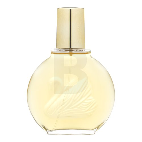 Gloria Vanderbilt Vanderbilt EDT W 100 ml