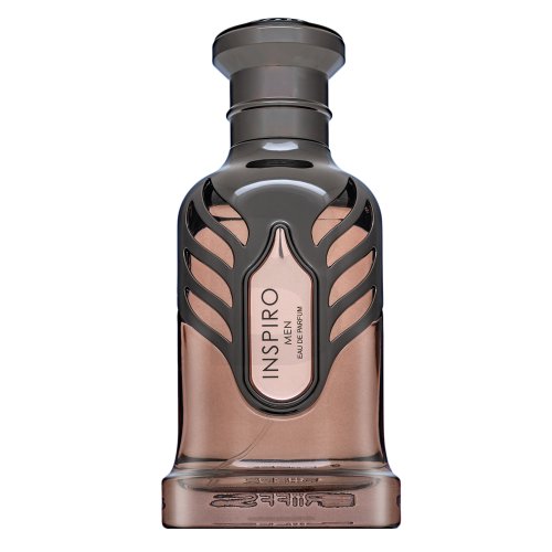 Riiffs Inspiro Men EDP M 100 ml