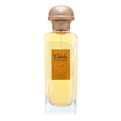 Hermes Caleche EDT W 100 ml