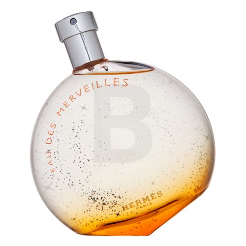 Hermès Eau des Merveilles EDT W 100 ml