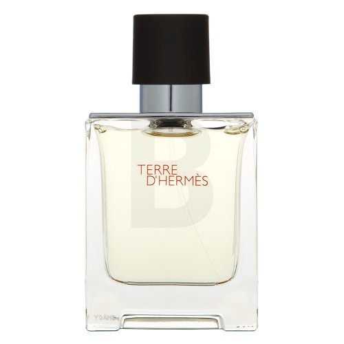 Hermès Terre D'Hermes EDT M 50 ml