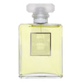 Chanel No.19 Poudré EDP W 100 ml