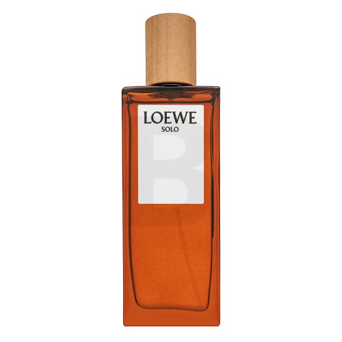 Loewe Solo Loewe Pour Homme EDT M 50 ml