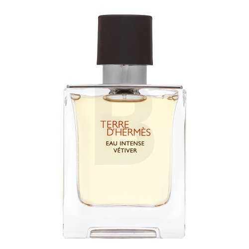 Hermes Terre D'Hermes Eau Intense Vetiver EDP M 50 ml